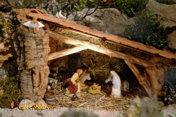 Nom de l'image : D2252281_1 — Description :