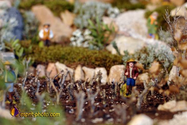 Nom de l'image : D2252309_1 — Description :