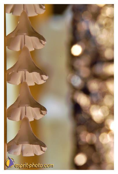 Nom de l'image : 15x22cm_D1219208-1 — Description :