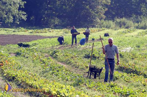 Nom de l'image : D1150759-01 — Description :