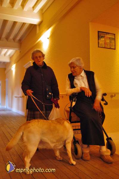 Nom de l'image : 036D1206950-1 — Description :  Maison de Retrait St Lazar à AUTUN (Bourgogne)
