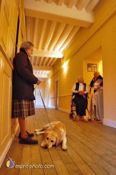 Nom de l'image : 041D1206973-1 — Description :  Maison de Retrait St Lazar à AUTUN (Bourgogne)
