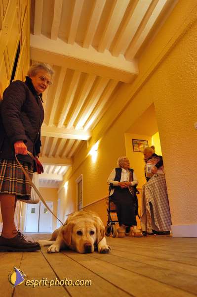 Nom de l'image : 042D1206978-1 — Description :  Maison de Retrait St Lazar à AUTUN (Bourgogne)