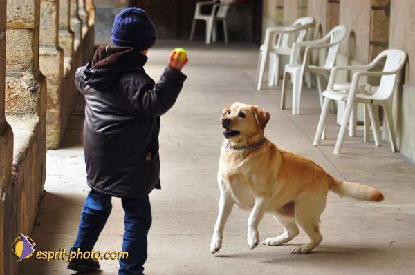 Nom de l'image : 145D1206920-1 — Description :  Maison de Retrait St Lazar à AUTUN (Bourgogne)