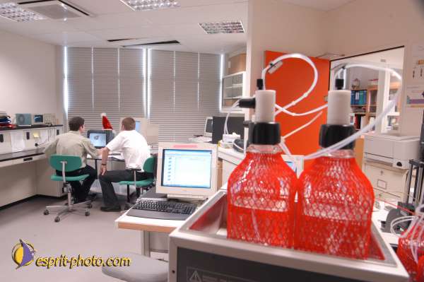 Nom de l'image : EG-4-5257-N01 — Description :