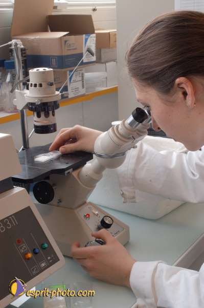 Nom de l'image : EG-4-5267-N01 — Description :