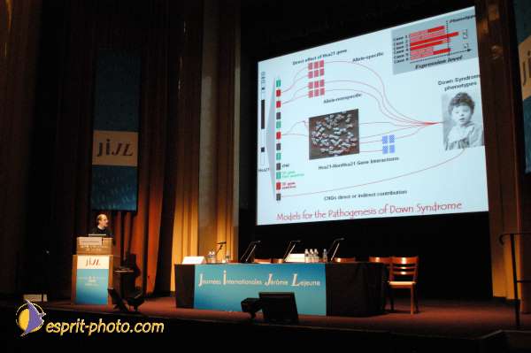 Nom de l'image : E00016772-1 — Description :  Toussaint 2004 - Messe avec les sans abri