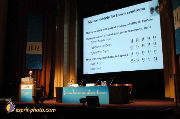 Nom de l'image : E00017195-1 — Description :  Toussaint 2004 - Messe avec les sans abri