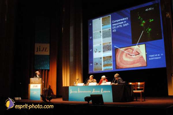 Nom de l'image : E00017633-1 — Description :  Toussaint 2004 - Messe avec les sans abri