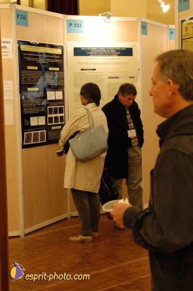 Nom de l'image : E00017000-1 — Description :  Toussaint 2004 - Messe avec les sans abri