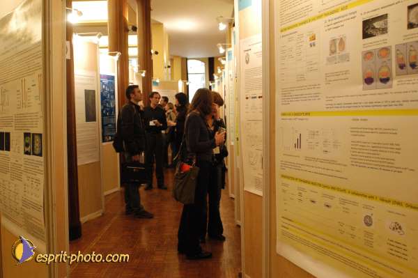 Nom de l'image : E00017034-1 — Description :  Toussaint 2004 - Messe avec les sans abri