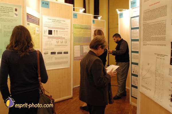 Nom de l'image : E00017396-1 — Description :  Toussaint 2004 - Messe avec les sans abri