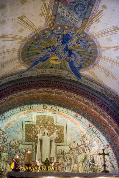 Nom de l'image : D3s017220a_(c)Norbert-Jung.com — Description :