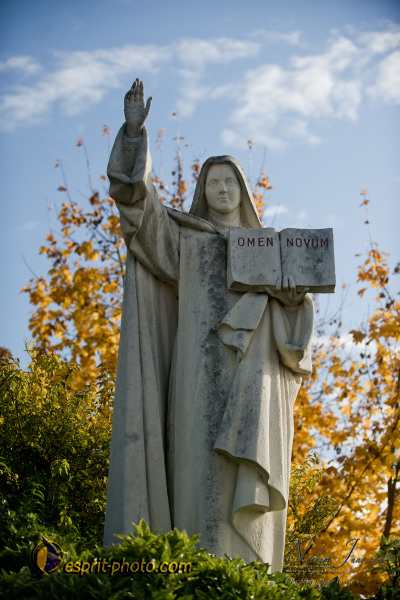 Nom de l'image : D3s017383a_(c)Norbert-Jung.com — Description :