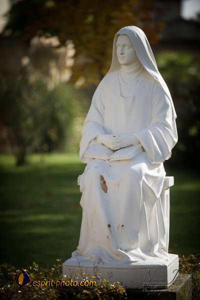 Nom de l'image : D3s017386a_(c)Norbert-Jung.com — Description :