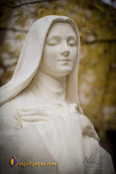 Nom de l'image : D3s017419a_(c)Norbert-Jung.com — Description :