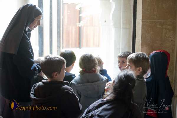 Nom de l'image : D3s017458a_(c)Norbert-Jung.com — Description :