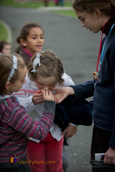 Nom de l'image : D3s017977a_(c)Norbert-Jung.com — Description :