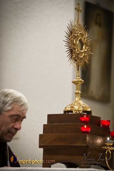 Nom de l'image : D3s018077a_(c)Norbert-Jung.com — Description :