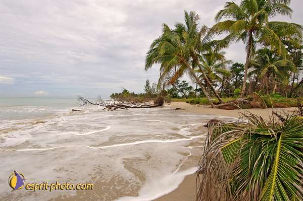 Nom de l'image : D2088454_1 — Description :  Enfants du Mékong