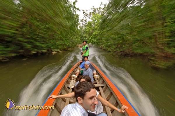 Nom de l'image : D2088578_1 — Description :