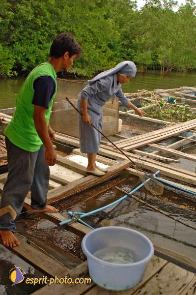 Nom de l'image : D2088633_1 — Description :