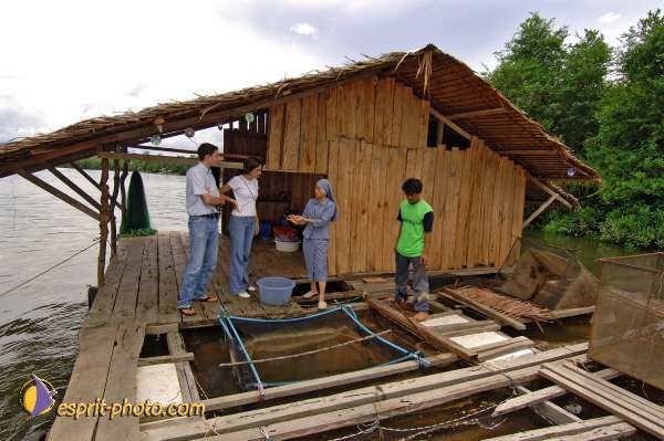 Nom de l'image : D2088638_1 — Description :