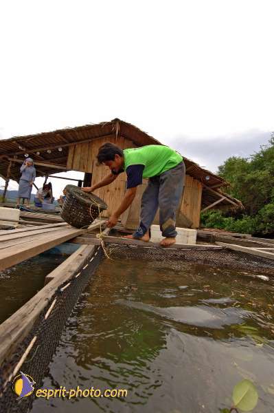 Nom de l'image : D2088643_1 — Description :