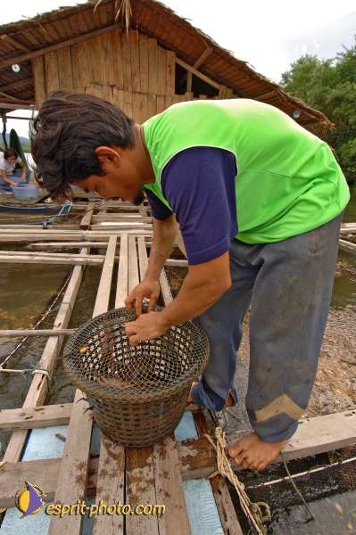 Nom de l'image : D2088645_1 — Description :