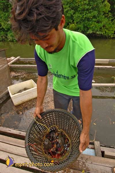 Nom de l'image : D2088649_1 — Description :