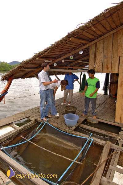 Nom de l'image : D2088654_1 — Description :