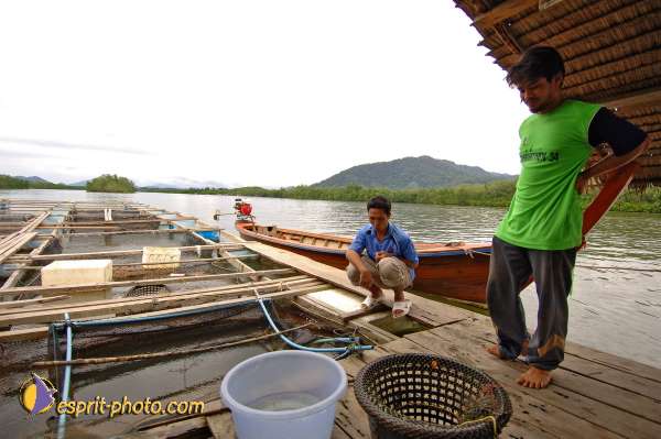 Nom de l'image : D2088667_1 — Description :