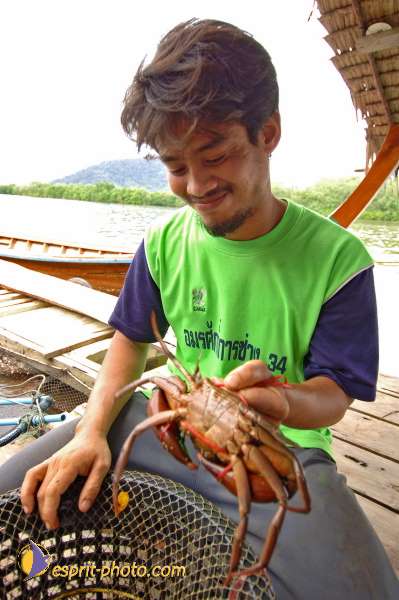 Nom de l'image : D2088673_1 — Description :