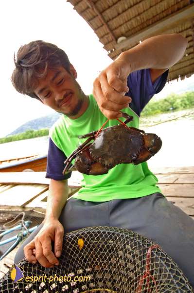 Nom de l'image : D2088676_1 — Description :