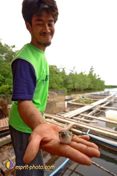 Nom de l'image : D2088686_1 — Description :