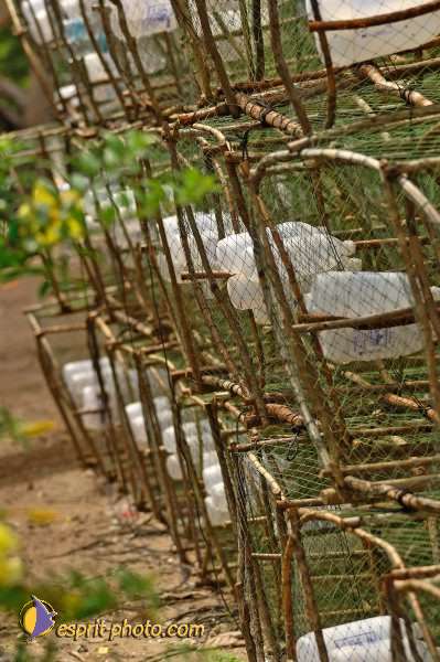 Nom de l'image : D2090624_1 — Description :  Enfants du Mékong