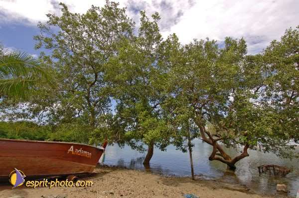 Nom de l'image : D2090659_1 — Description :  Enfants du Mékong