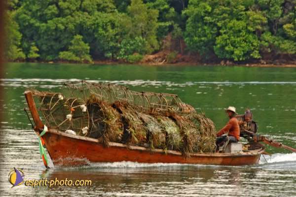 Nom de l'image : D2090710_1 — Description :  Enfants du Mékong