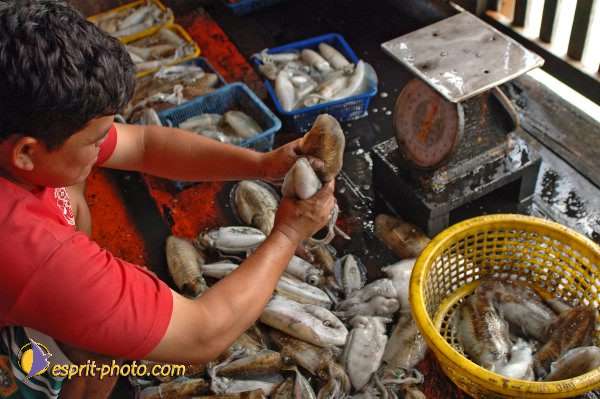 Nom de l'image : D2090794_1 — Description :  Enfants du Mékong