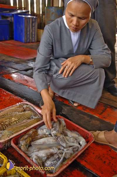 Nom de l'image : D2090832_1 — Description :  Enfants du Mékong