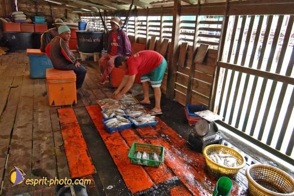 Nom de l'image : D2090865_1 — Description :  Enfants du Mékong