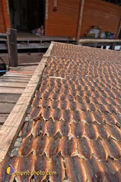 Nom de l'image : D2090877_1 — Description :  Enfants du Mékong