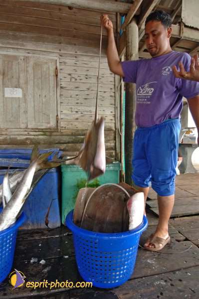 Nom de l'image : D2091035_1 — Description :  Enfants du Mékong