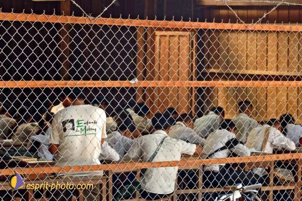 Nom de l'image : D2093303_1 — Description :  Enfants du Mékong