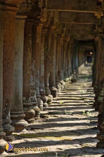 Nom de l'image : D2100121_1 — Description :