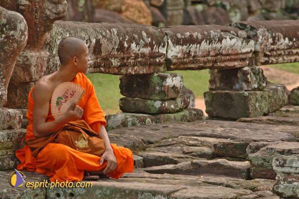 Nom de l'image : D2100666_1 — Description :