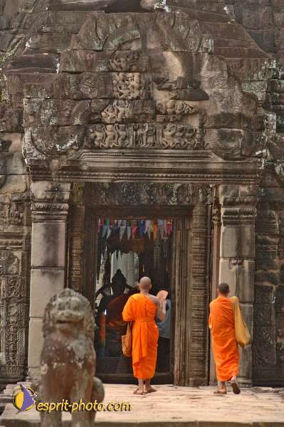 Nom de l'image : D2100685_1 — Description :