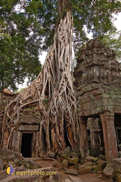 Nom de l'image : D2100738_1 — Description :