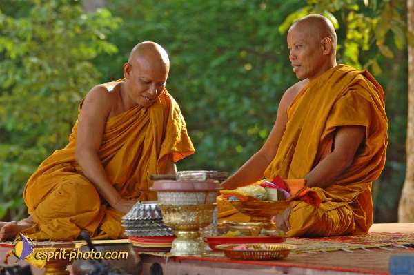 Nom de l'image : D2100851_1 — Description :