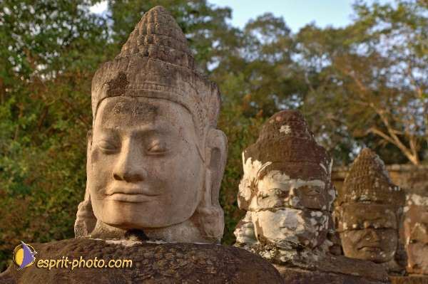 Nom de l'image : D2100937_1 — Description :